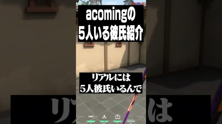 5人の彼氏（？）を紹介するaco【VALORANT】