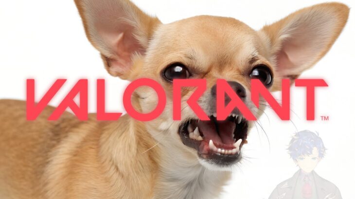 【VALORANT】V最VALO… Tier2 ?? HAHA it’s JOKE → 旧RRメンバーでLoL / アステル