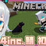 【Minecraft】はじめてのマインクラフト配信【杏戸ゆげ / ブイアパ】