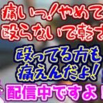 ギャルオタクな小森めととオネエDV彼氏に挟まれる橘ひなの【ブイアパ/APEX】