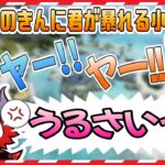 ココロの中のきんに君が暴れだす小森めと＆拗ねるありさか＆完璧なIGLを披露するヘンディー【ありさか/ヘンディー/小森めと/切り抜き】