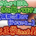 叶わぬ夢のために学校を休んで木を蹴り続けた幼き頃の小森めと, 大人たちに心配されて病院へ･･･【ブイアパ/雑談】