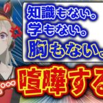 視聴者のライン越え発言にキレる小森めと【過去切り抜き/ブイアパ/雑談】