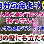 不磨わっとの事が好きすぎる夏色まつりと理解し過ぎている小森めと【ブイアパ/ホロライブ/字幕】