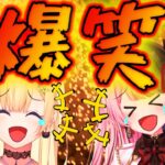 【ぶいすぽまとめ】超絶爆笑シーンまとめ！！！【橘ひなの/藍沢エマ/紫宮るな/トナカイト/かみと/叶/切り抜き】