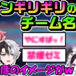 ラインすれすれのチーム名決め投票対決！激闘を制したのは！？【ぶいすぽっ！/かみと/花芽すみれ/花芽なずな/おれあぽ一家/切り抜き/crカップ/valorant】