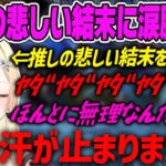 【藍沢エマ】ドラクエ推しの悲しい結末に涙が止まらないエマ【ぶいすぽ・切り抜き】