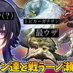 リオレイアを筆頭としたウザモン達と戦う一ノ瀬うるはがおもしろかわいいｗｗｗ【一ノ瀬うるは/モンハンライズ/切り抜き/ぶいすぽっ！】