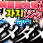 【Cpt切り抜き】良くない韓国語を言おうとするミトゥンを止めるために奔走するCptと思わず口に出してしまう天帝フォルテ【天帝フォルテ/ミトゥン/渋ハルカスタム/Apex】