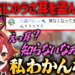 【確信犯】八雲べにのうさ耳を盗んだ疑惑が浮上する猫汰つな【ぶいすぽ・切り抜き】