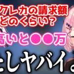 花芽なずなのクレカの請求額に衝撃を受けて、しれっと自分のも公開するひなーの【橘ひなの/花芽なずな/切り抜き】