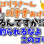 まんまと騙され、悲惨な運命を辿るバーチャルゴリラ【にじさんじ/切り抜き】