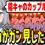 ぶいすぽっ！納涼祭りに行ったなちょ猫の目の前で陽キャカップルが●●した話【なちょ猫/甘城なつき/雑談/切り抜き】