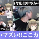 実写×Vtuberの利点を最大限に生かし永遠にワイプでボケ続けるヘンリサ三者面談面白まとめ 【ヘンリサ三者面談 英リサ トナカイト 犬山たまき 切り抜き ぶいすぽ 】