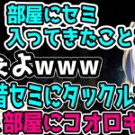 田舎組のよいちとアルスについていけないk4sen【夜よいち切り抜き】