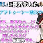 推しのあまみゃからのコメントに限界化する小森めと＆紫宮の配信は見てた小森めと【小森めと/天宮こころ/紫宮るな/ブイアパ/ニチアサ/切り抜き】