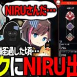 【APEX】プレデターレースも28時間が経過した頃、遂にNIRUと接敵するボブ一行（NIRU/きなこ/バーチャルゴリラ/BobSappAim/切り抜き）