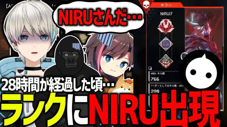 【APEX】プレデターレースも28時間が経過した頃、遂にNIRUと接敵するボブ一行（NIRU/きなこ/バーチャルゴリラ/BobSappAim/切り抜き）