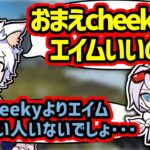 【Ras切り抜き】cheekyへの武器ピンをSeoldamに横取りされキレるRas【APEX】