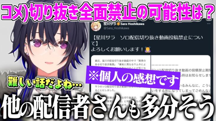 最近話題の切り抜き禁止について自分なりの考えを話す一ノ瀬うるは【一ノ瀬うるは ぶいすぽ 切り抜き 】