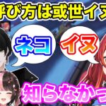 お互いにイヌ・ネコで呼び合っている猫汰つなと或世イヌ【猫汰つな/ぶいすぽ/切り抜き】