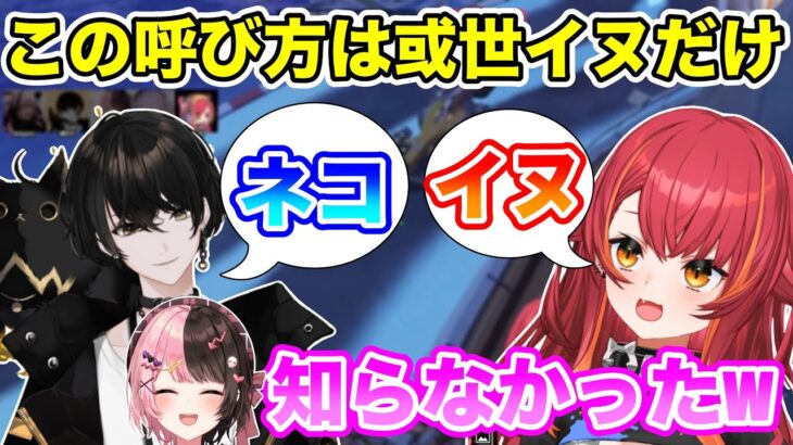 お互いにイヌ・ネコで呼び合っている猫汰つなと或世イヌ【猫汰つな/ぶいすぽ/切り抜き】