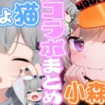 【コラボめとめ】なちょ猫×小森めと~初コラボからのまとめ~【 甘城なつき/ブイアパ/切り抜き】