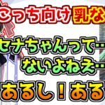 旅行でもぶいすぽメンバーに絶壁をいじられる空澄セナ【ぶいすぽっ！】