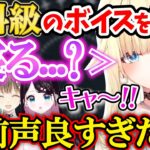 【安眠確定】おやすみ前ボイス対決をやるも藍沢エマの声が良すぎて大興奮の他３人ｗｗｗ【ぶいすぽ/マイクラ&雑談/切り抜き/八雲べに/英リサ/花芽なずな】