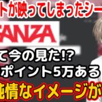 【神回】配信中にエ●サイトが映ってしまい必死に弁明する叶ｗｗ【にじさんじ 切り抜き/叶】