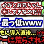 【視聴注意w】コメ読み機能ずんだもん導入直後リスナーのおもちゃになったかみとの配信ww【VALORANT/kamito/切り抜き】