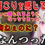 新年早々のあせなてぇてぇして発狂する可愛い胡桃のあと胸いじりをされキレる空澄セナ【空澄セナ/胡桃のあ/ぶいすぽ/切り抜き/OW2】