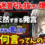 あまり知られてない八雲べにの爆笑迷言にツッコミが止まらない英リサｗｗｗ【ぶいすぽ/雑談/切り抜き】