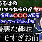 【面白まとめ】一ノ瀬うるはの趣味がキモすぎて面白すぎたww【切り抜き/一ノ瀬うるは/小森めと/白雪レイド/ぶいすぽ/ブイアパ/NeoPorte/Grounded】