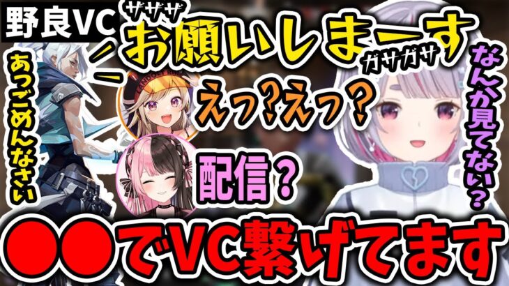 野良VCが配信を見ていると思い聞いてみるとまさかのかわいい行為で爆笑する兎咲ミミ【兎咲ミミ/橘ひなの/小森めと/ぶいすぽ/切り抜き/VALORANT】