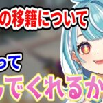 移籍してくる小森めとについてと敬語の難しさについて話す白波らむね【ぶいすぽ/白波らむね/切り抜き】