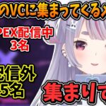 配信中のVCに続々と集まってくるぶいすぽメンバー達【兎咲ミミ/ぶいすぽ/切り抜き/APEX】