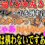 ご機嫌斜めのチビ(猫)ときゅぴママのやり取りが会話してるみたいで可愛すぎるｗｗ【神成きゅぴ/ぶいすぽ/切り抜き】