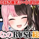 【ここ好きまとめ】橘ひなのRUST爆笑シーン総集編 ~前編~【橘ひなの/ぶいすぽ/切り抜き/スト鯖】