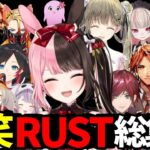 【総集編】橘ひなのRUSTおもしろシーンまとめ【ぶいすぽ/切り抜き/スト鯖RUST】