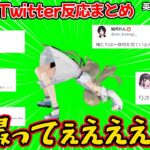 衝撃的な英リサ3Dお披露目に対するぶいすぽメンバーのTwitter反応まとめ【ぶいすぽ 切り抜き】