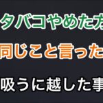 喉を気遣って禁煙を促すが全く取り合わないローレン/英リサ/或世イヌ【にじさんじ/ぶいすぽ】切り抜き