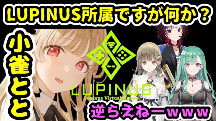 ぶいすぽLUPINUS所属小雀ととです！【/小雀とと/英リサ/如月れん/八雲べに/ぶいすぽっ/切り抜き/Warlander】