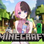 【 Minecraft 】夏祭りの出し物決めたり素材集めたりしますか【ぶいすぽっ！/橘ひなの】