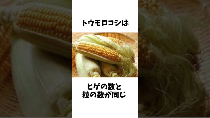 食べ物に関する面白い雑学ｗｗｗｗｗｗｗｗｗ#shorts