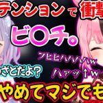 深夜テンションでとんでもない事を言う兎咲ミミに腹筋崩壊する橘ひなのｗ【ぶいすぽ 切り抜き マイクラ】