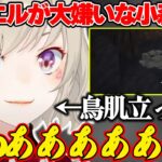 カエルが急に現れ動揺しすぎていないか疑うが明らかにいて叫ぶ小森めとｗｗｗ【小森めと/ぶいすぽ/切り抜き】