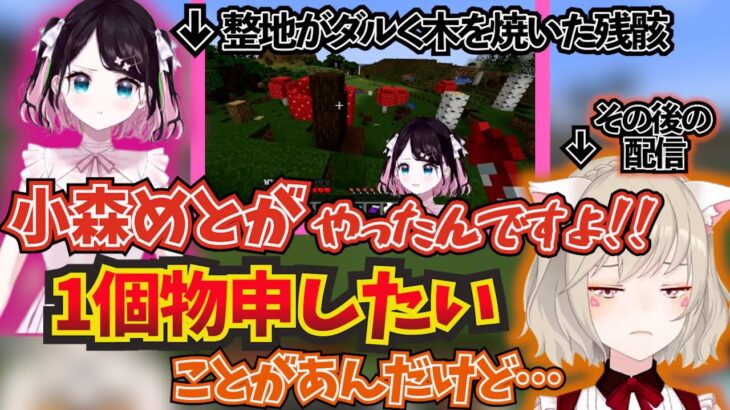 ぶいすぽ夏祭り会場の整地が荒らされたと話す花芽なずなの配信に対して物申したい小森めと【ぶいすぽ！/小森めと/切り抜き】