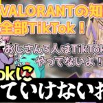 【VALORANT】最近の若者御用達のTikTokについていけないおじ3(胡桃のあ/獅子堂あかり/SPYGEA/フランシスコ/すもも/ぶいすぽ/切り抜き)