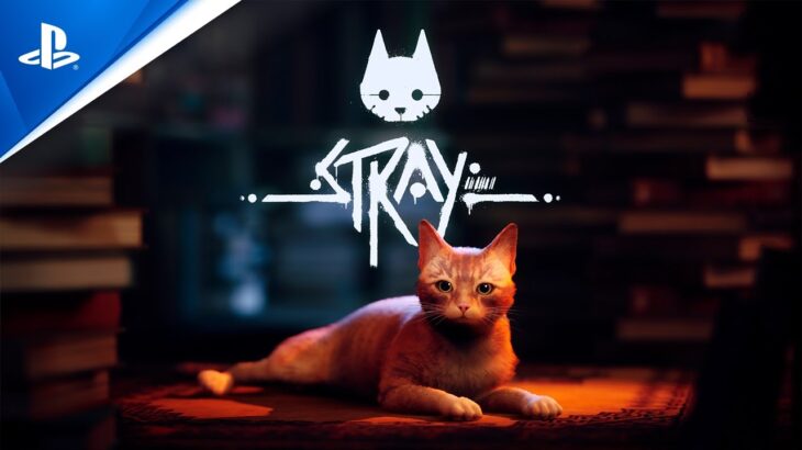 Stray – Tráiler 4K de la FECHA DE LANZAMIENTO en PS5 | PlayStation España